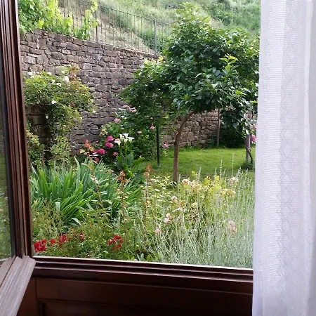La Luna Buona Farm stay