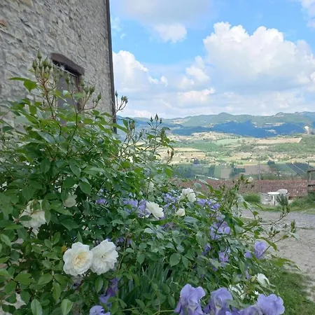 Vakantieboerderij La Luna Buona