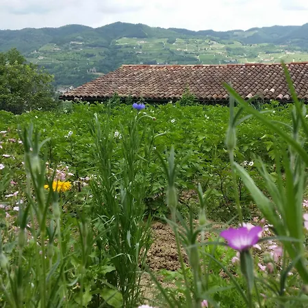 La Luna Buona * Vesime