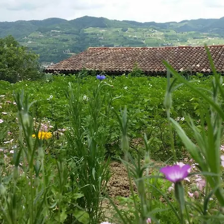 La Luna Buona Farm stay Vesime