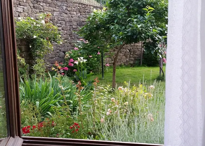 La Luna Buona Farm stay