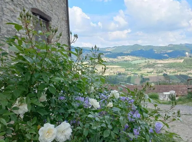 Farm stay La Luna Buona