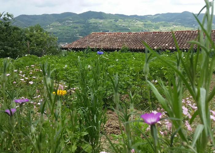 La Luna Buona * Vesime